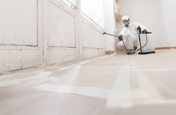 24/7 Emergency Mold Removal experts in Weston, MA